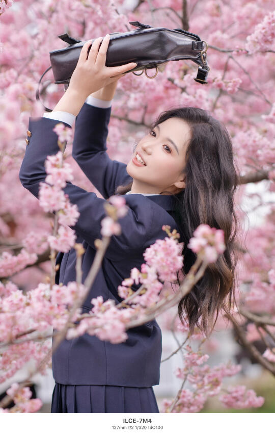 东湖樱园今日开园🌸 3月6日实拍 赏樱拍照☑️