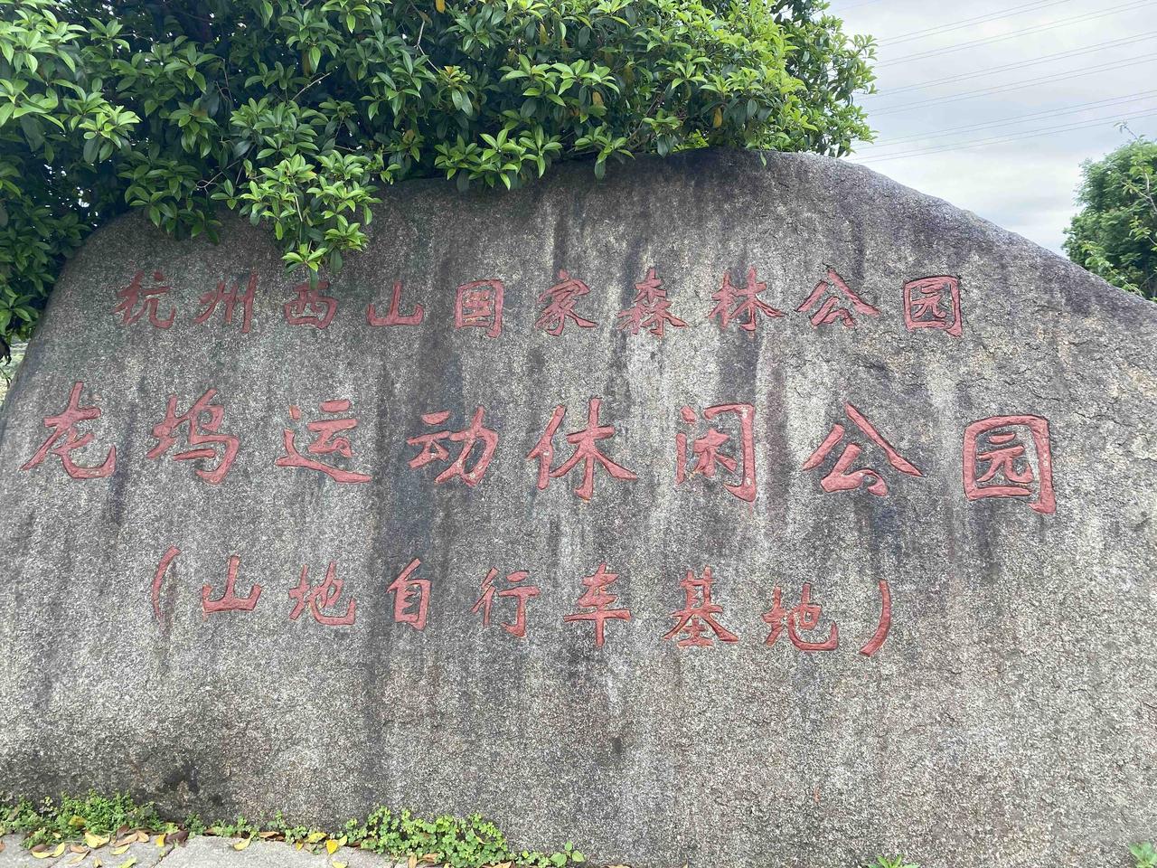 龙井问茶·杭州西湖转塘2025.04.27