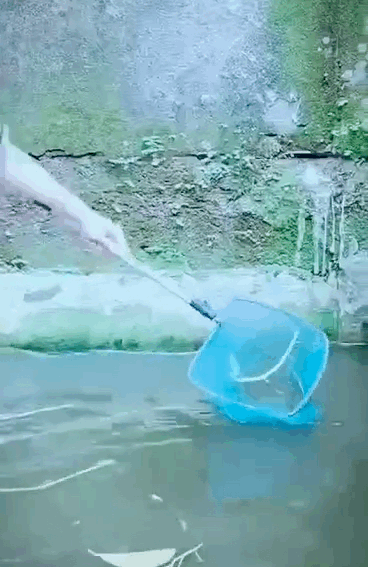 美女，是鱼无理取闹了？