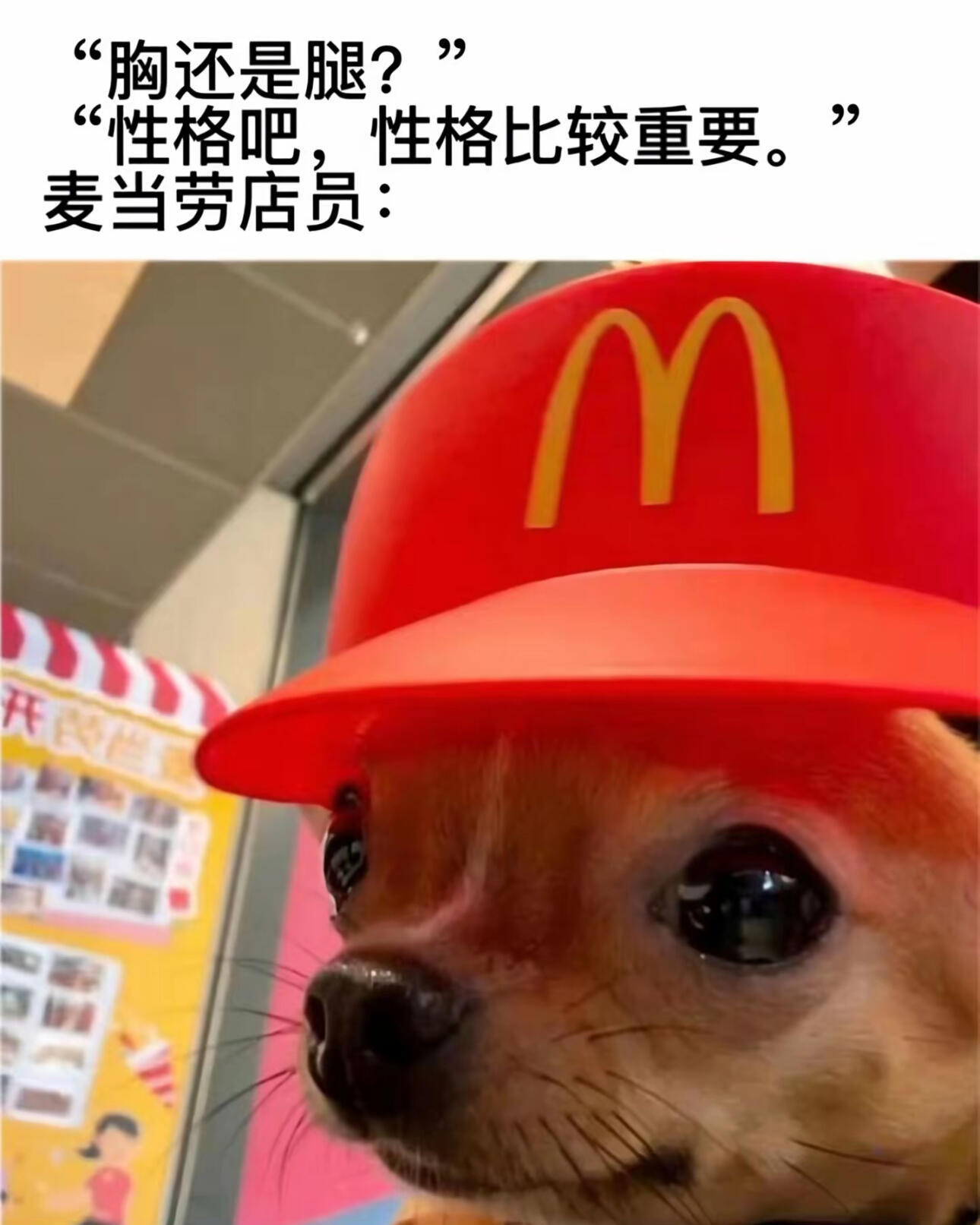 太好笑了哈哈哈哈哈 ​​​