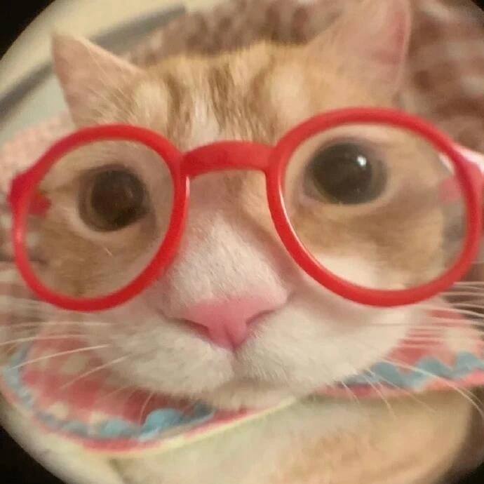 𝐖𝐞𝐂𝐡𝐚𝐭︳可爱小猫情侣头像 