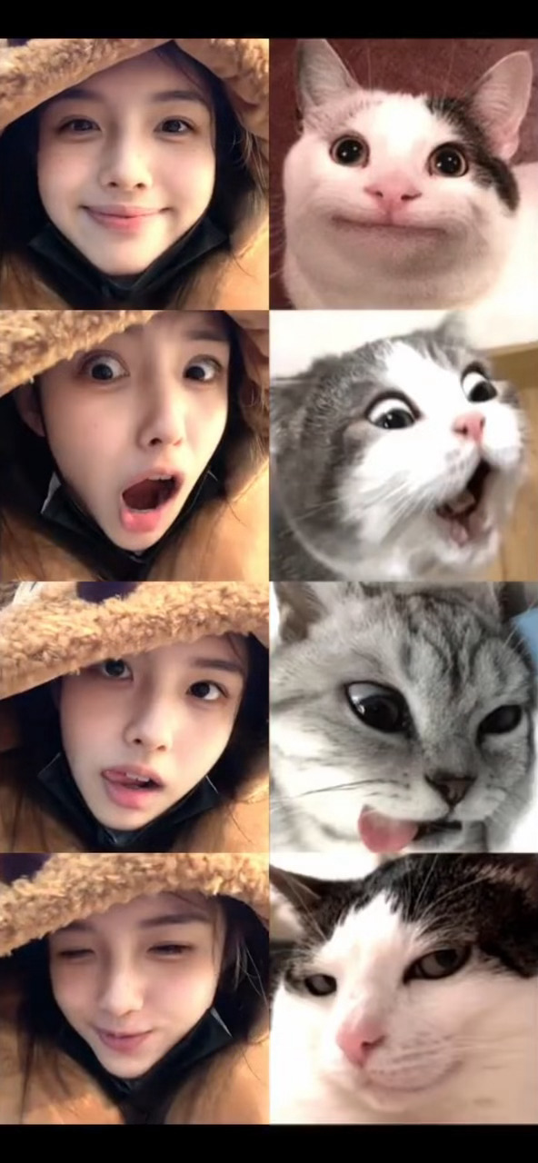 太萌了孩子 