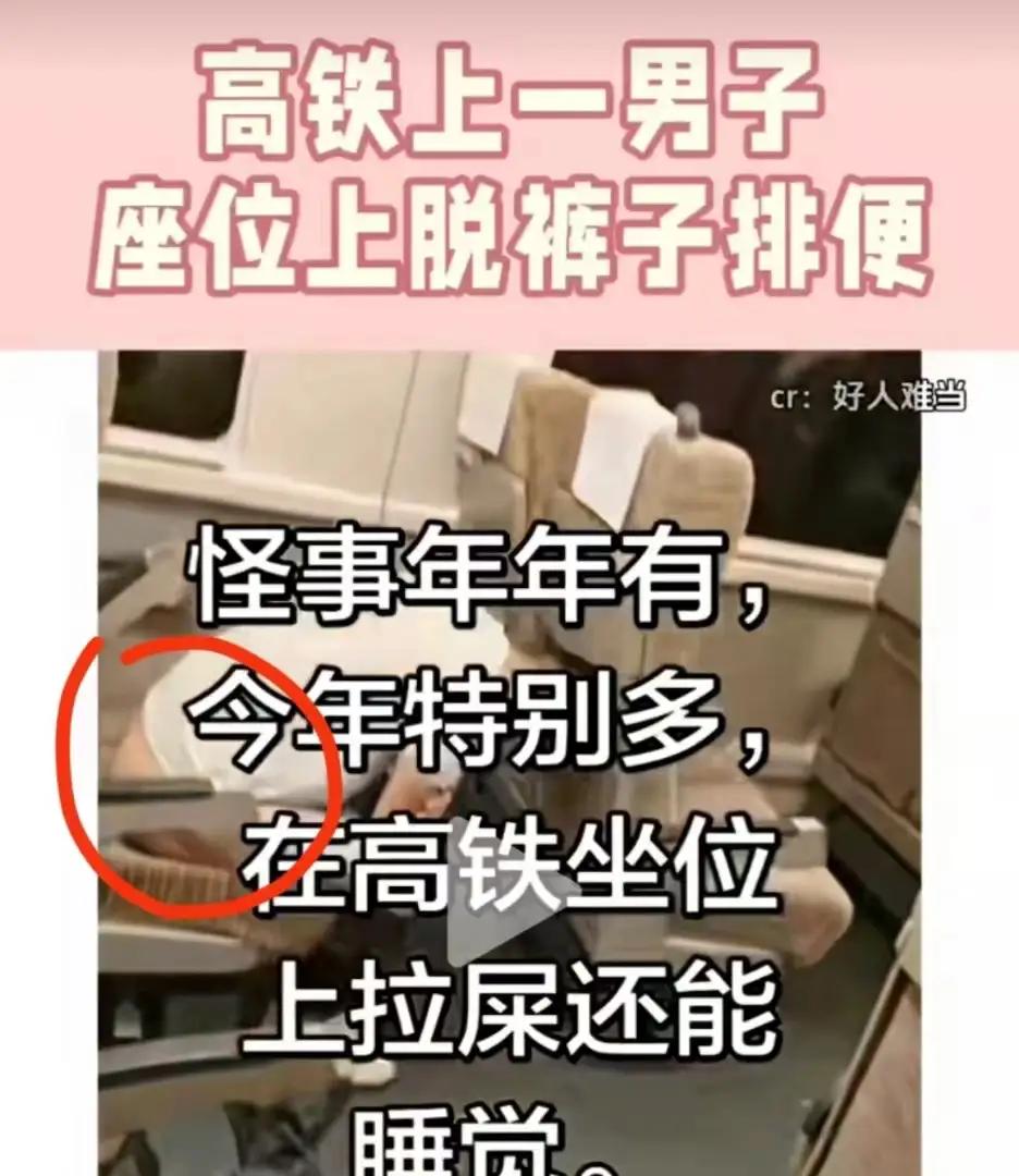 在高铁座位上排便，还知道脱下裤子不弄脏自己的衣服，无论什么原因都不能轻饶。如果说