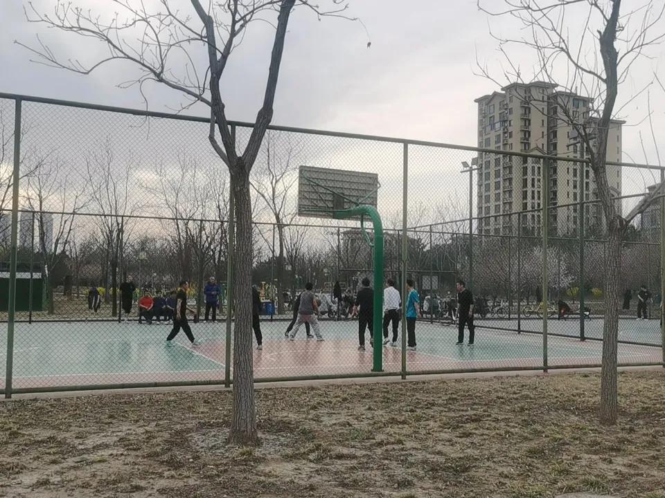 感觉到了，很无聊！还是自己找点“小茬”，嘚瑟一下！
    小区门前的公园里、篮