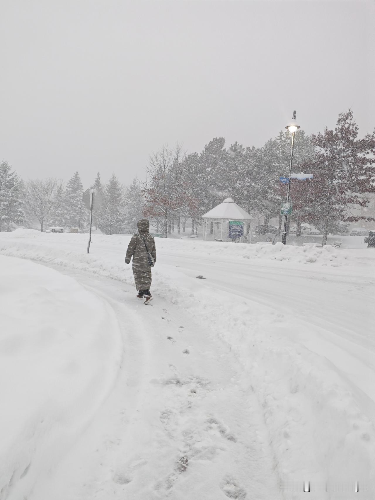还好，交通没有出现拥堵阻滞，因为这里对雪天有一整套完备的应急预案。无论是交通干道