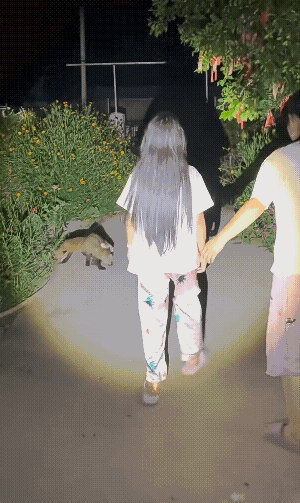 孩子半夜梦游都干活，怎么办呢?
孩子梦游，你把她的房门从外面反锁起来，她不能出来