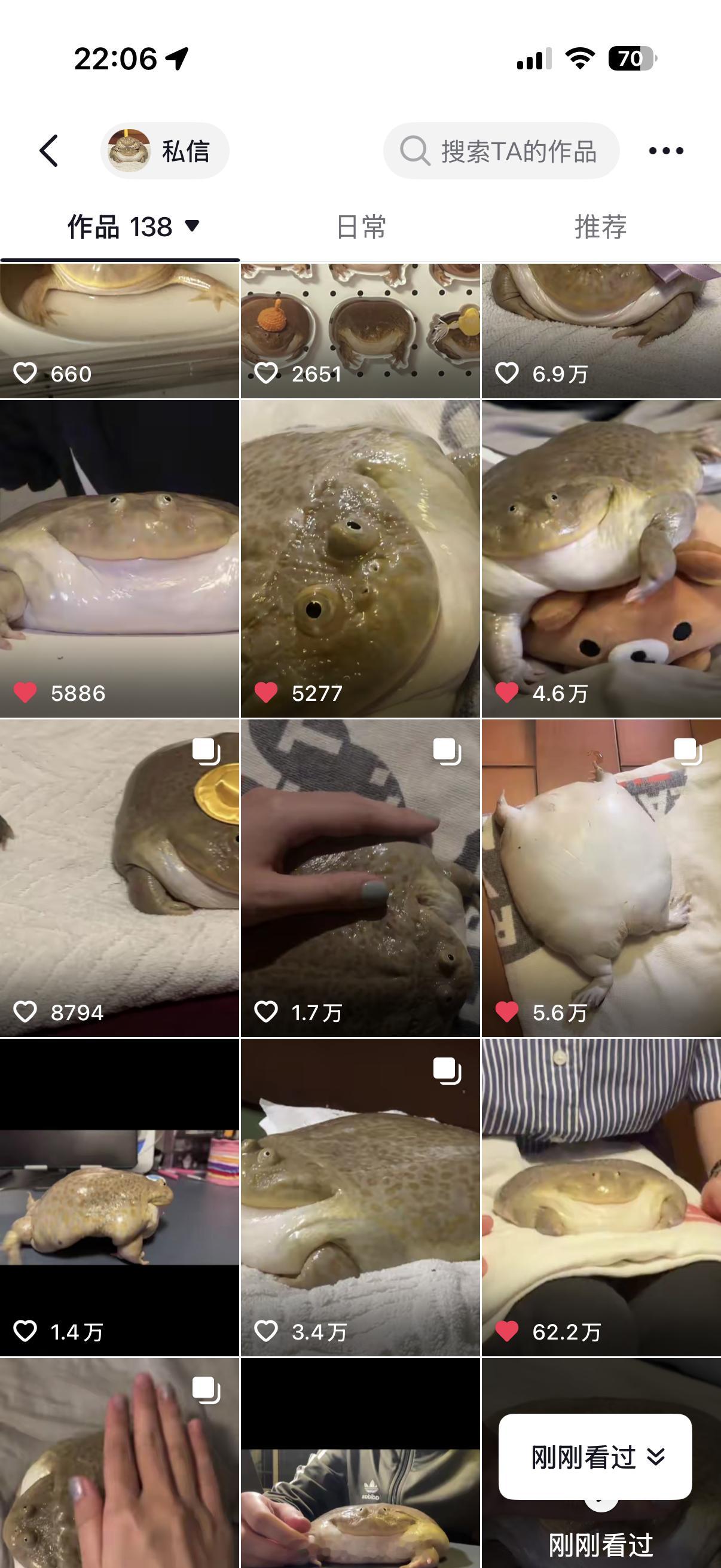 我的生活被美美这只大肥蛙入侵了 咋这么可爱啊啊啊啊像一坨史莱姆 ​​​