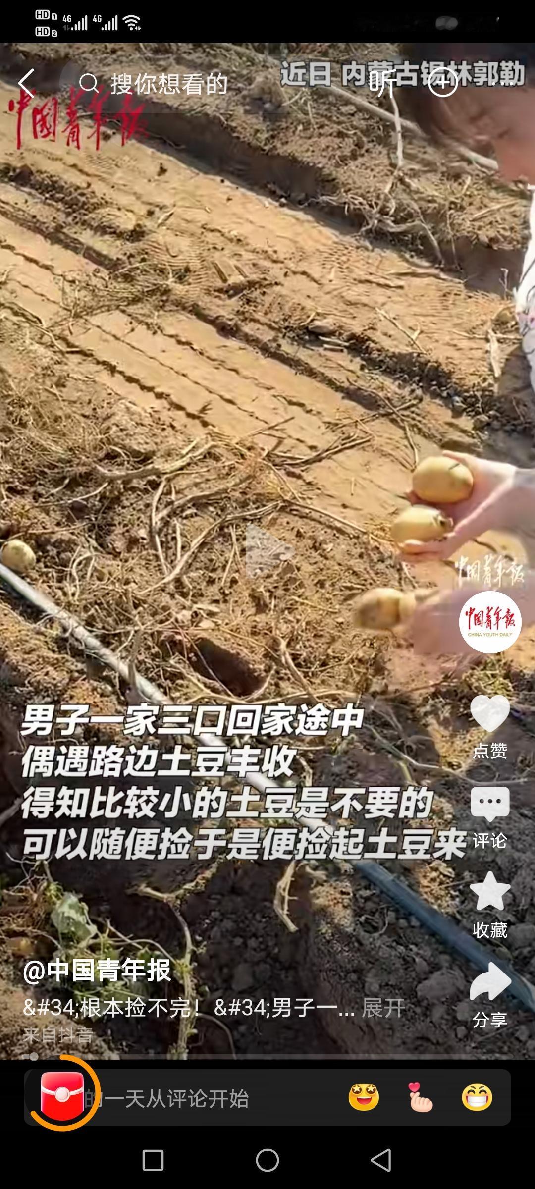 男子一家三口去内蒙古旅行，意外发现路边地里有很多土豆，竟然跑到地里捡土豆，主人家