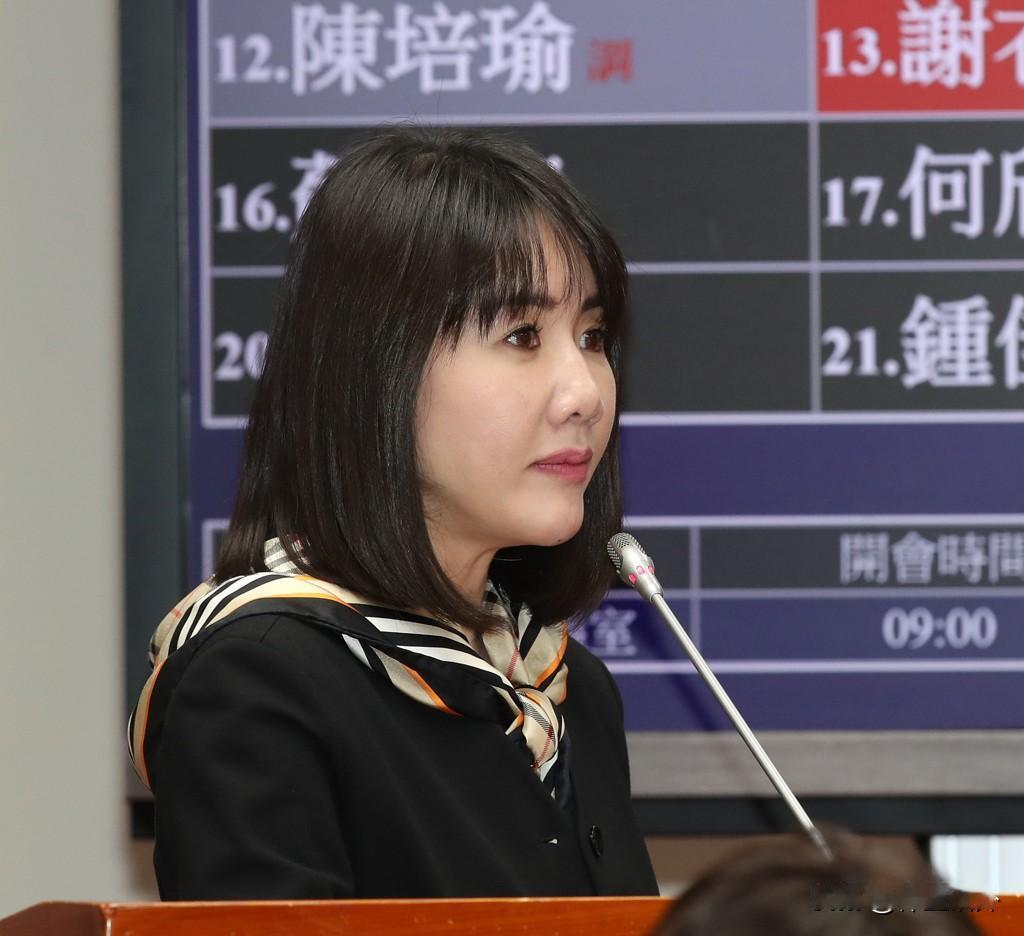 只有她！国民党民意代表只有谢衣凤去了！
谢衣凤何许人也？彰化县地方势力，现任国民