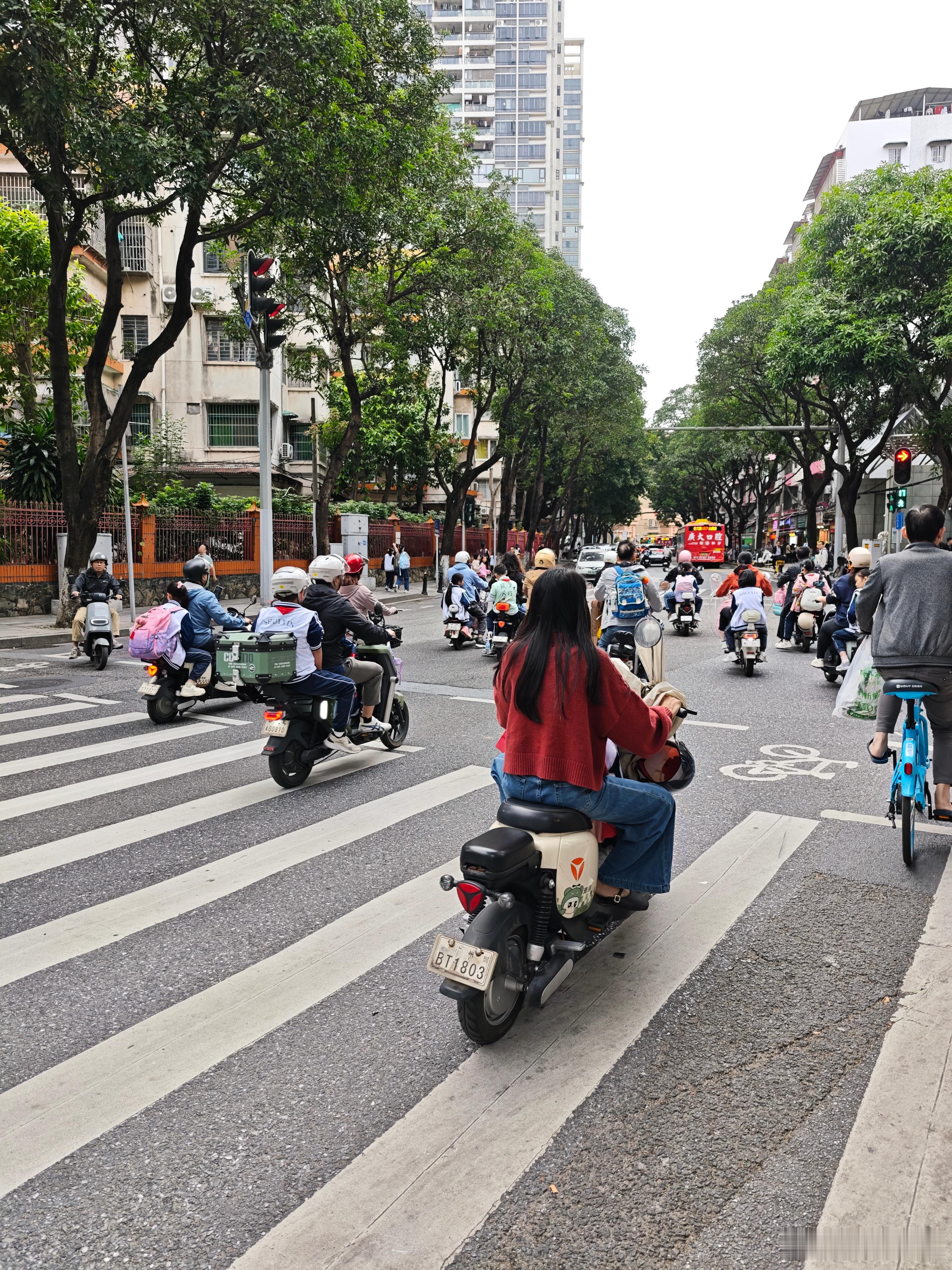 据我观察，附近的小学差不多有一半学生是坐电鸡上学的，而且超过半数的小学生并没有戴