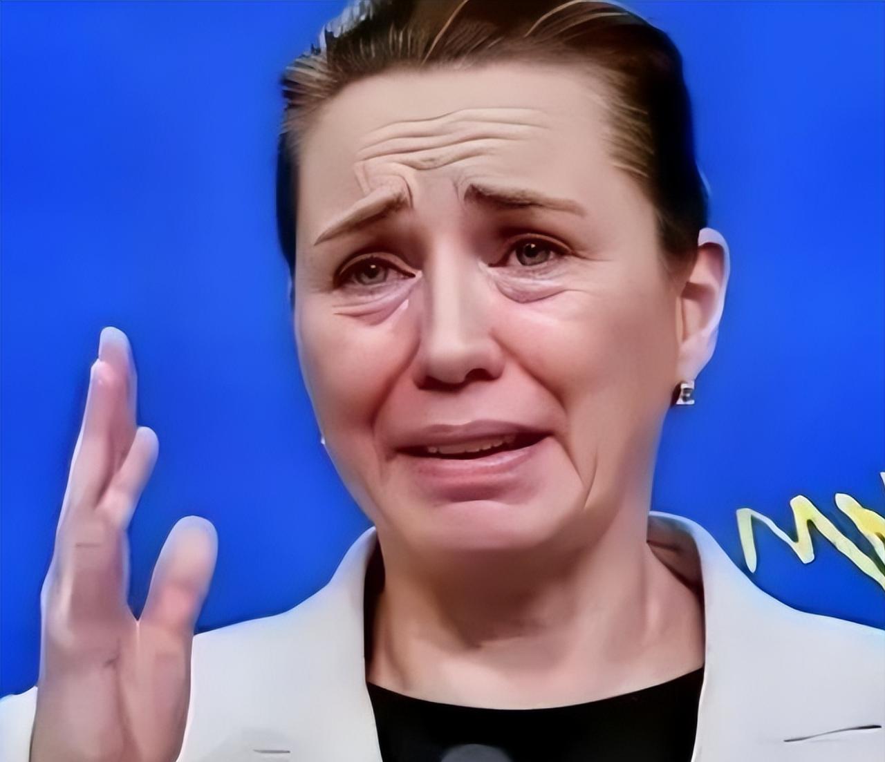 丹麦政府痛恨中国

丹麦的外交大臣拉斯穆森表示，过去不允许中国对格陵兰岛投资，现