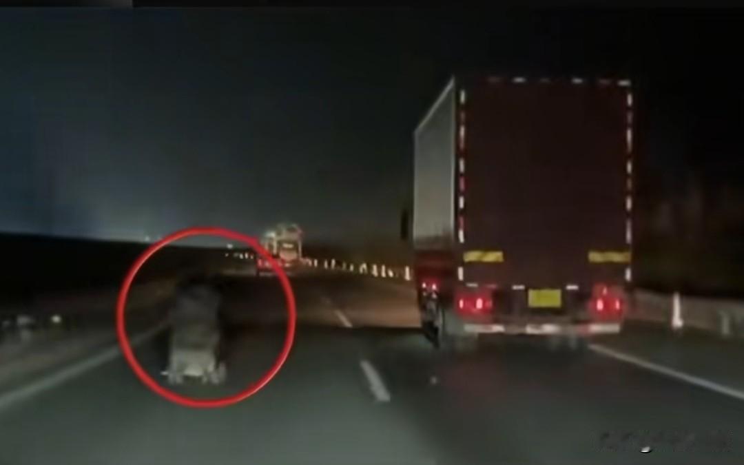 老人高速逆行推婴儿车太扯了吧，说实话只要不是官方发的新闻，我都以为是假的。
事发