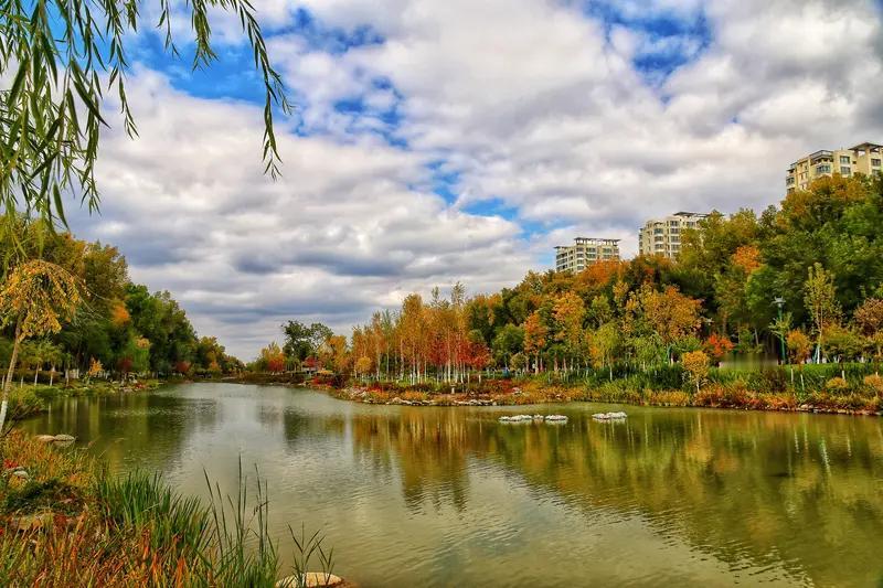 这首《秋韵》将秋天的美展现得酣畅淋漓。“阡陌深秋万里芳，枫林牧草染初霜”，瞬间勾