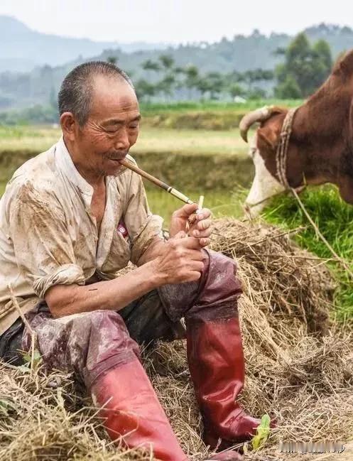 人过五十，进入疾病高发期，做好这六件事，比存钱重要，余生大吉

随着岁月的流逝，