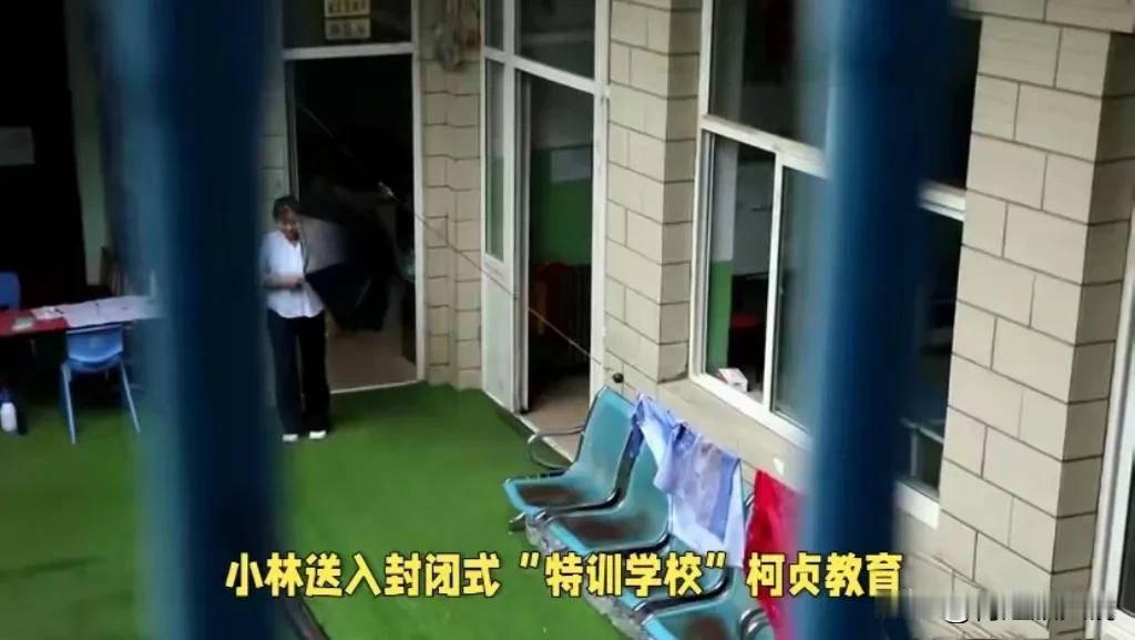 “花季凋零：14岁少女特训学校之死，谁之过？”

一、事件概述

• 2024年