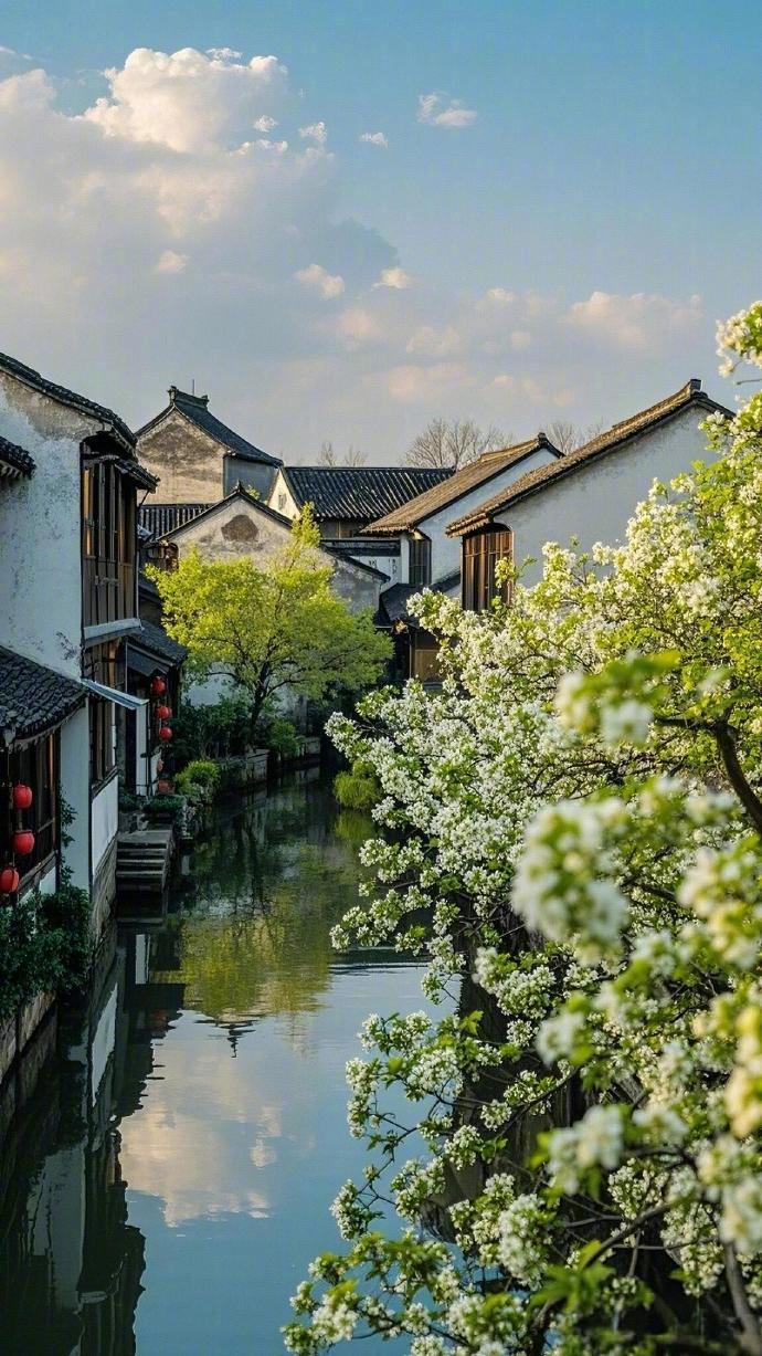 汀花细雨，树水闲风。 ​​​