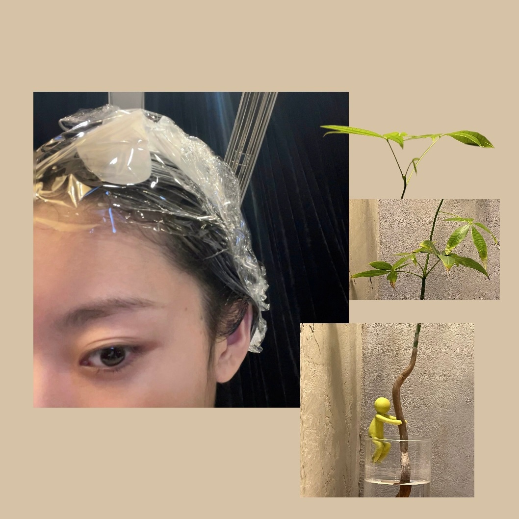 顺毛🐑出没记伊岁片非正式跨年派对