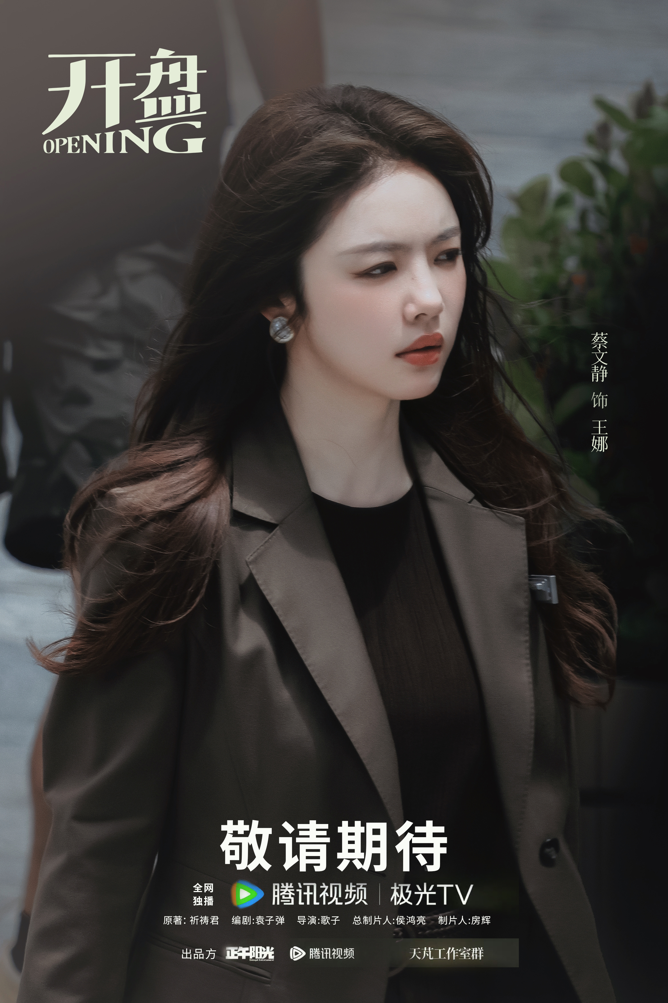 蔡文静  🍃蔡文静王娜 《开盘》 伪电视剧海报/·王娜 