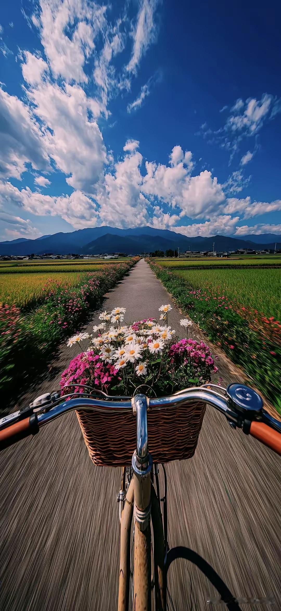 农家过年味道

过年的美好
其实从年前十五天就开启了
小时候
会提前准备泡好黄豆