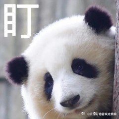 #咖啡店是要给我打鸡血吗# 这明明就是神仙咖啡好吗？哪里是在打鸡血了 ！像这样子