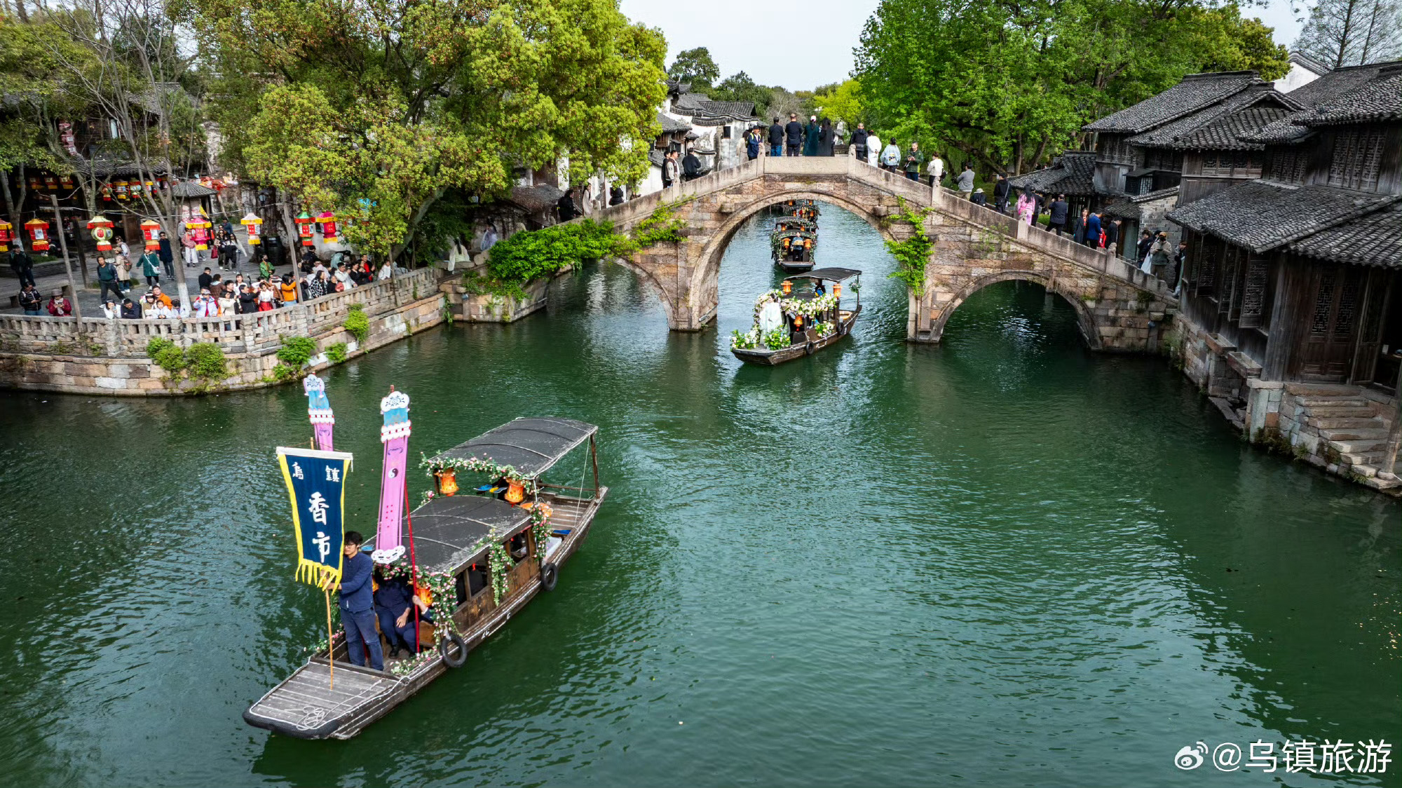 【这里是浙江】蚕的一生，从卵到蛾，循环往复，从未停歇，这便是“生生不息”最古老的