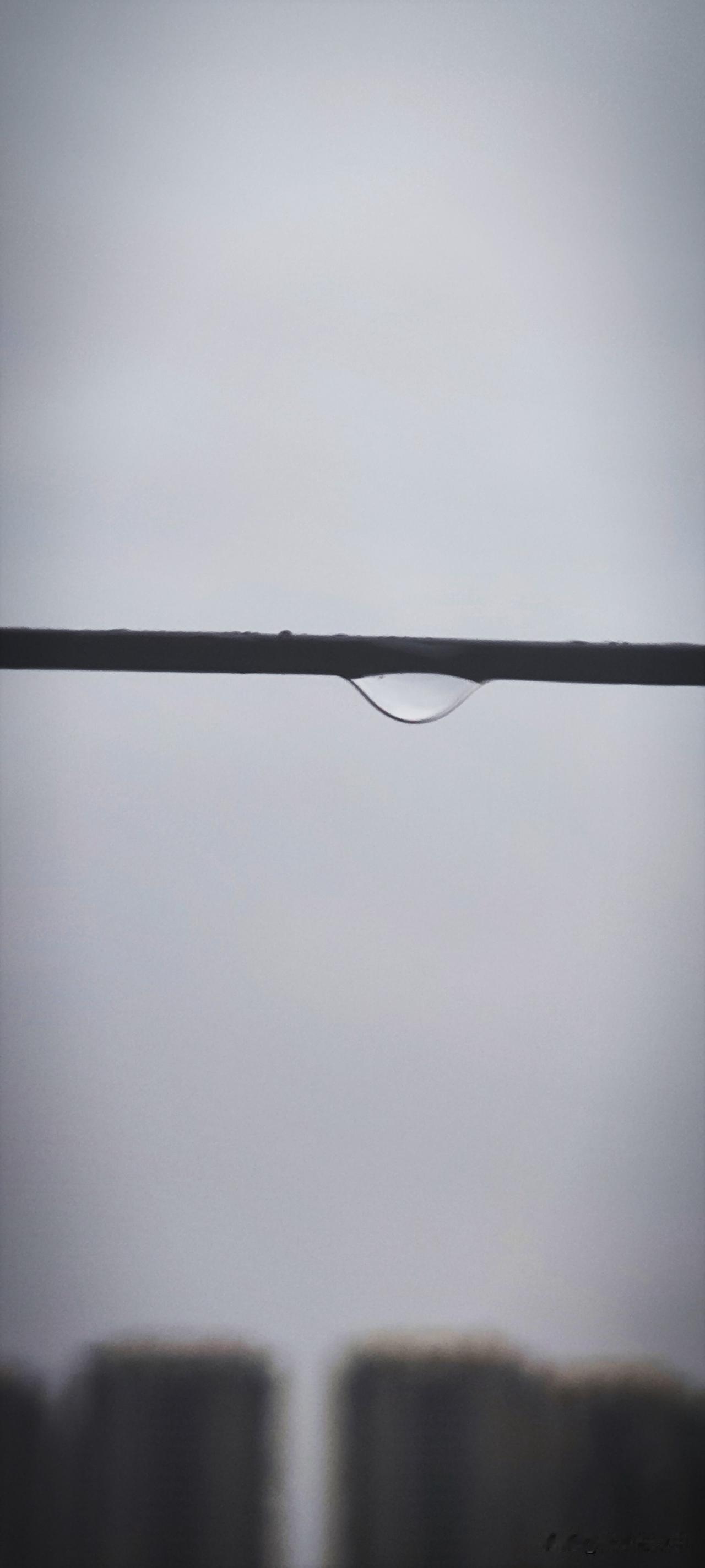 天南地北大拜年都说“春雨贵如油，下的满街流。”此时的小城已经浇透了，这春雨也是一