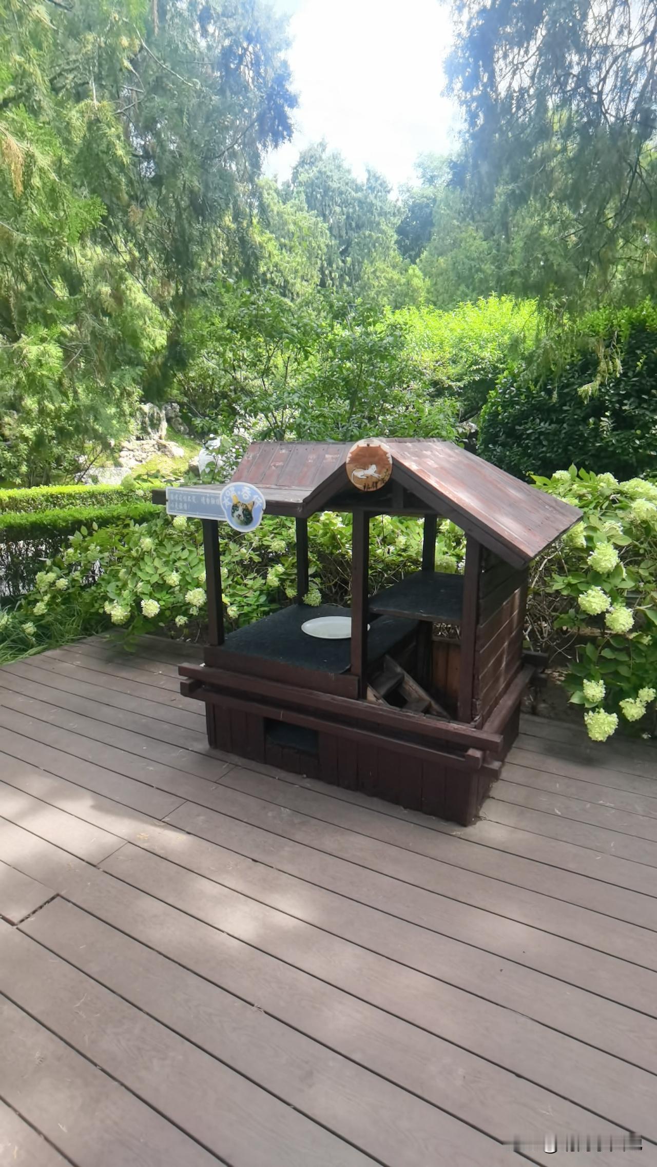 皇家太庙里温馨的一角！
花2元门票走进太庙，层叠的古树，令人心生肃穆，很心静…