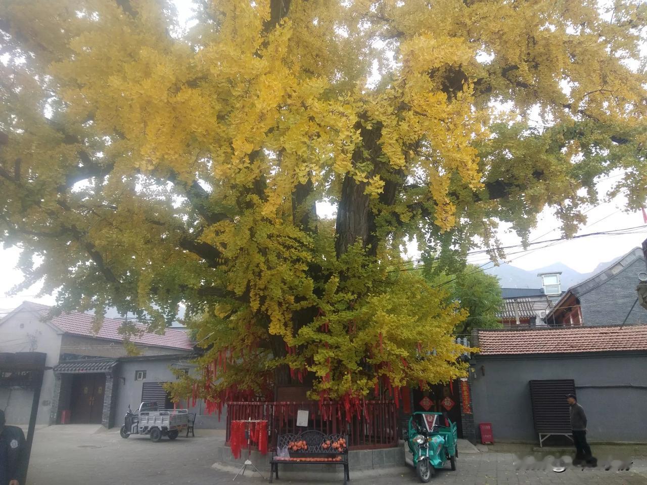 人的磁场很重要，你相信什么你就会吸引什么，最后就会得到什么。你感恩，就顺利；你付