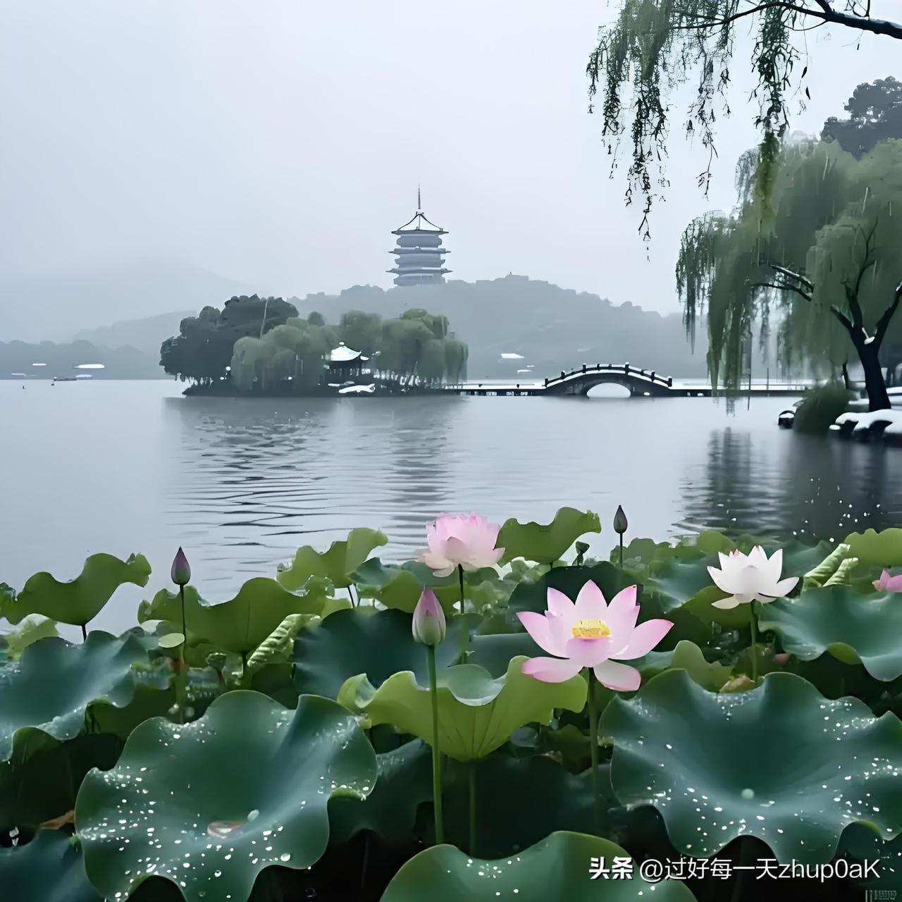 《题西湖小景》
——陈琏〔明代〕
翠幕红楼近水边，
荷花香里总宜船。
客窗此日看