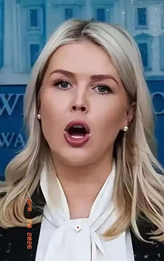 美国消息
据央视新闻2026年4月20日报道，美国白宫正式宣布，副总统万斯率领的