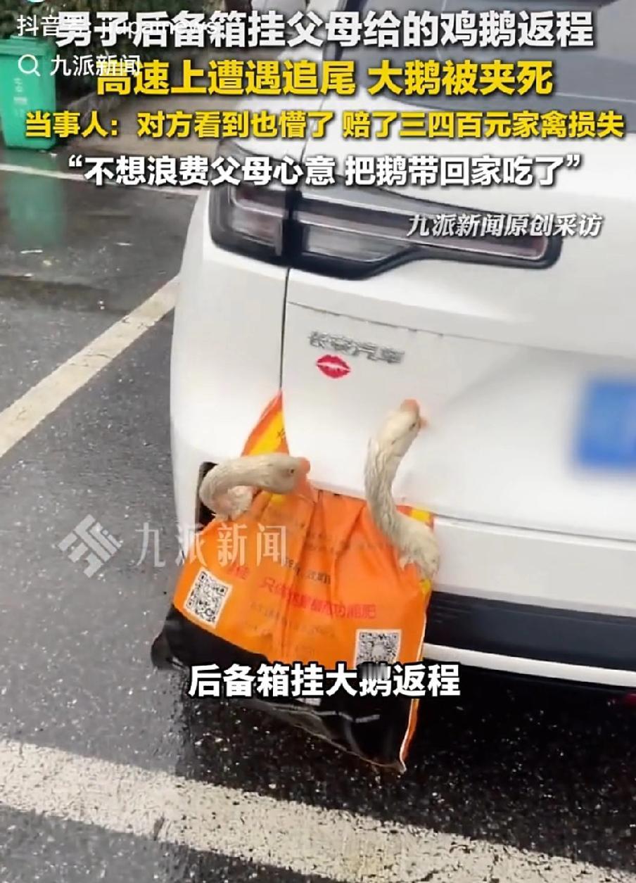 看完评论我能笑一整天！2月24日，湖北湘阳的胡先生，过完年后准备回广东上班，临行