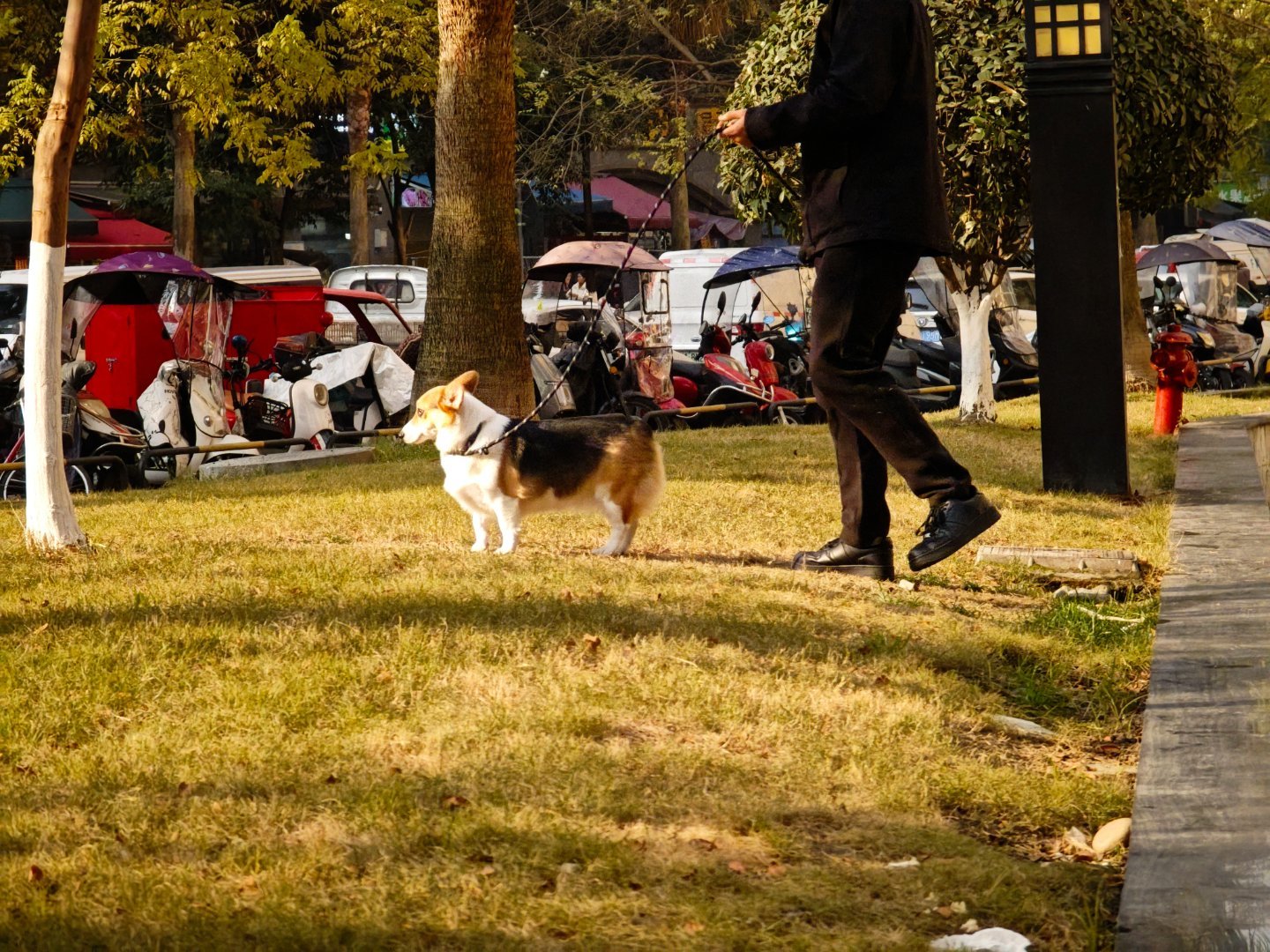 成都这个地方真的太爽了，生活成本是真的低，停车便宜才几块钱两小时，住房便宜，伙食