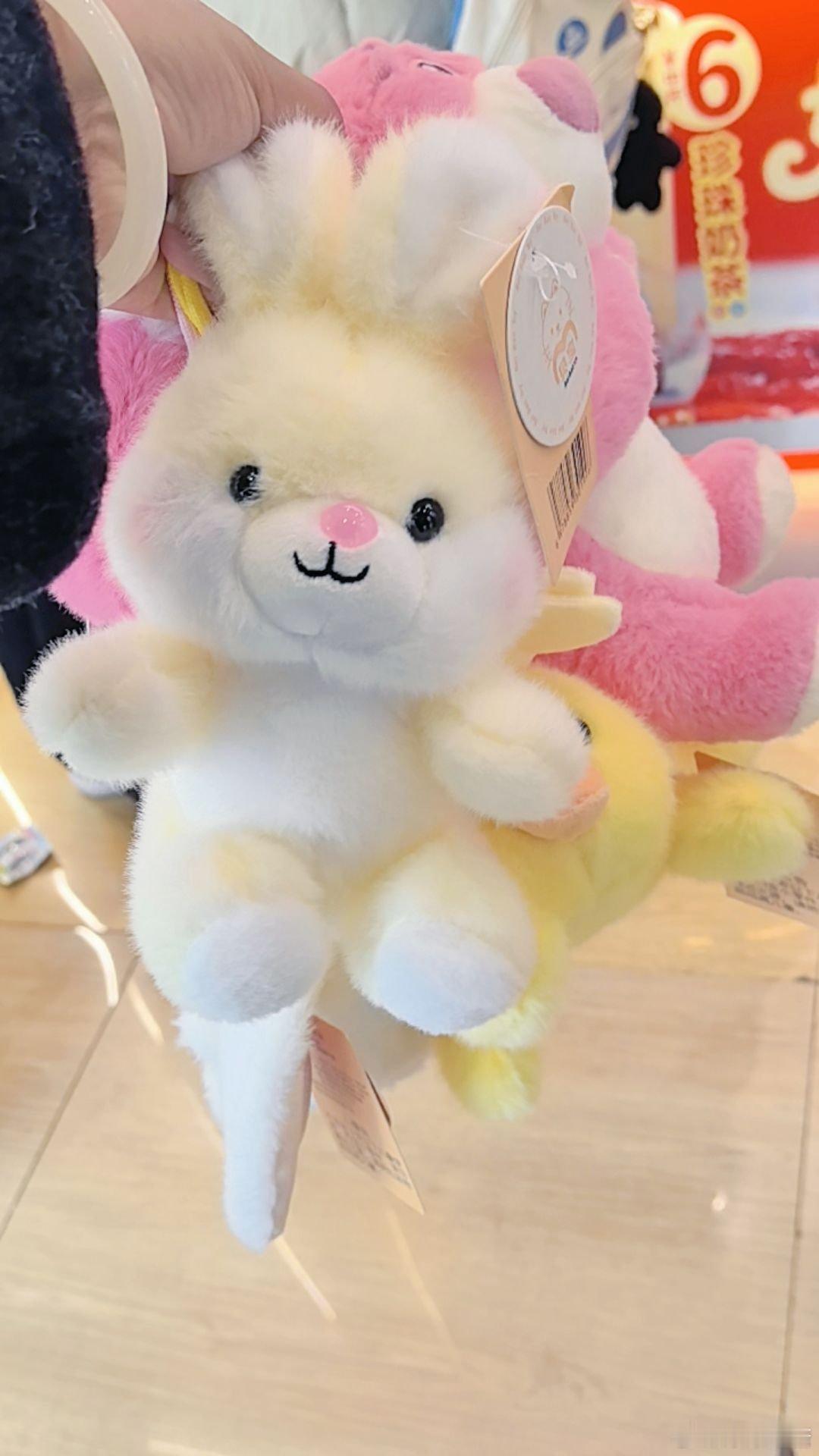 随手拍收货满满哦！ 