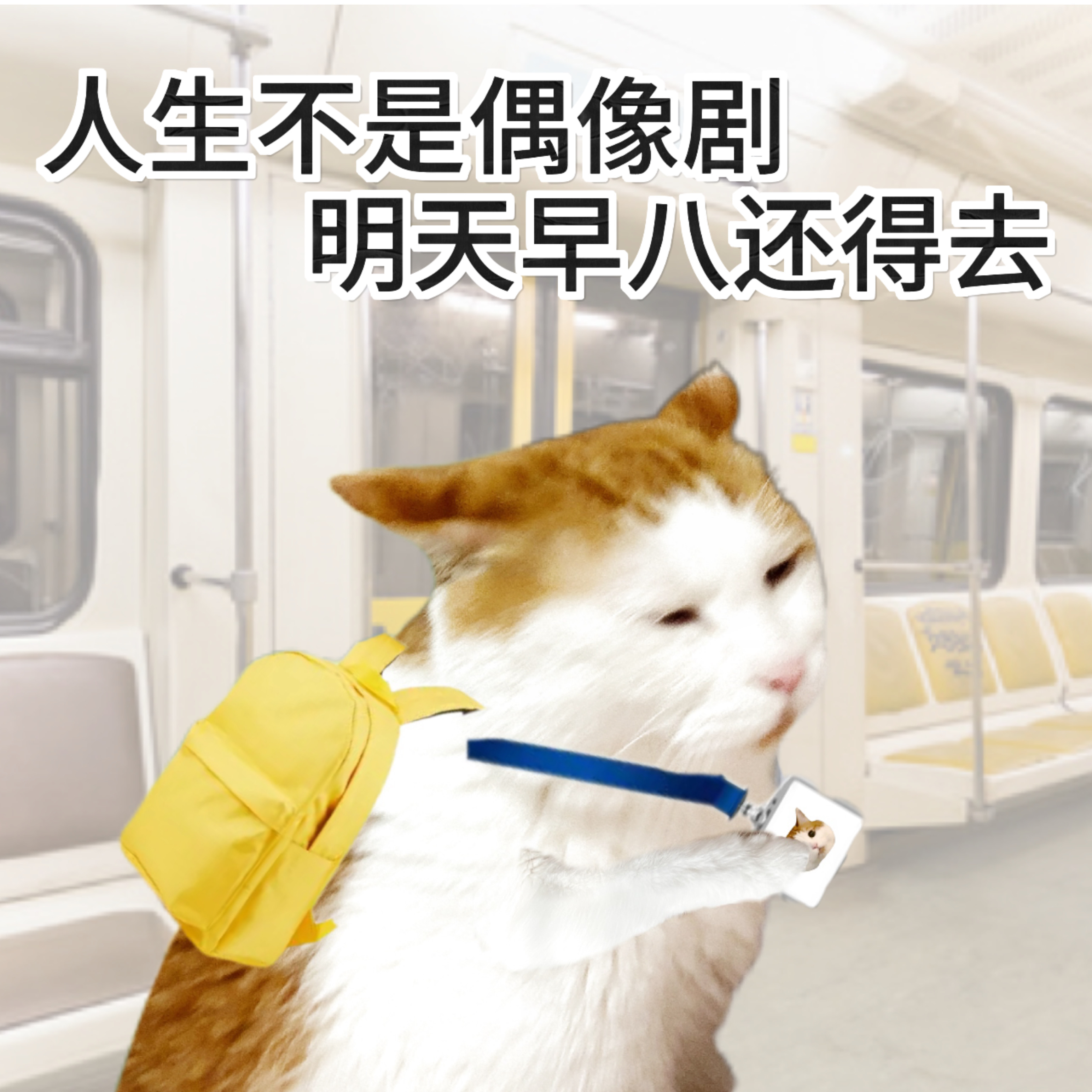 520上班的你belike老天奶！爱情没有，但面包我得吃啊！ 