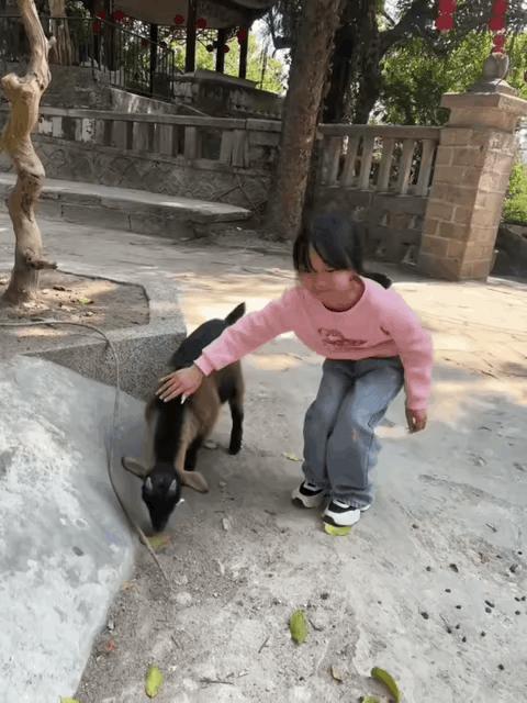 小孩姐的弹跳力是真的厉害。