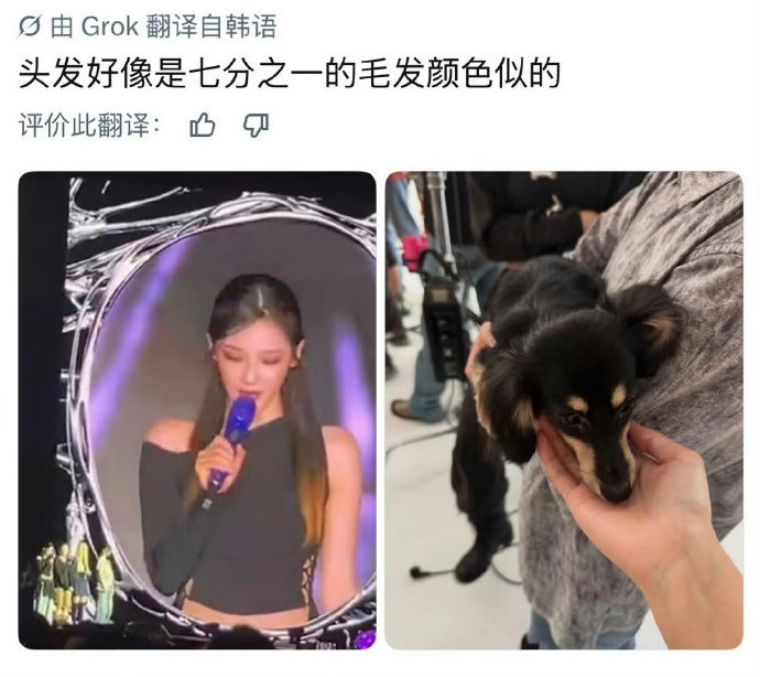 宁艺卓和小狗染同款发色宁艺卓和小狗亲子发色 ​​​宁艺卓和小狗染同款发色 ​​​