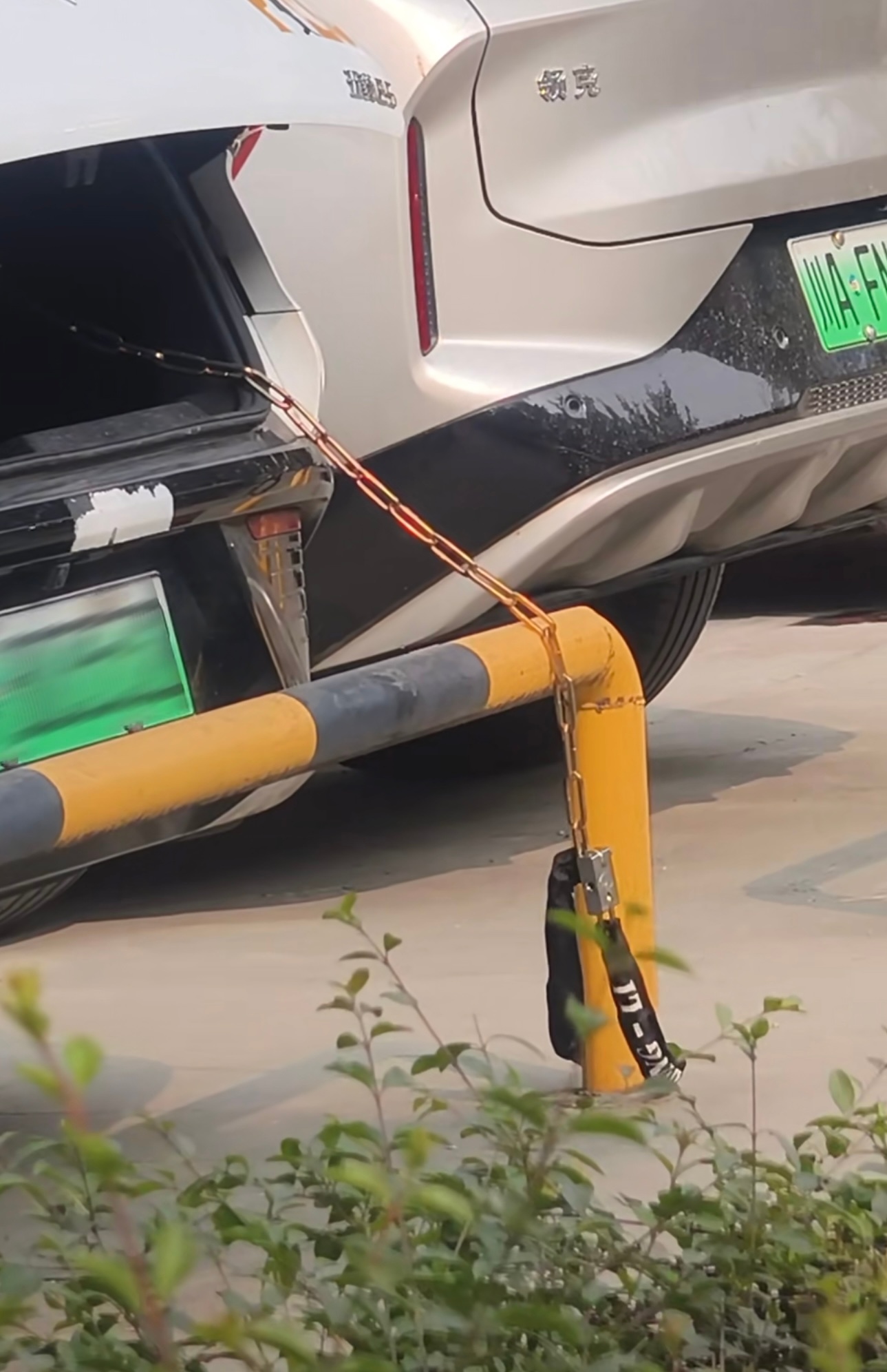 谁能解答一下这是出于什么目的呀怎么还用铁链子拴起来了？ 