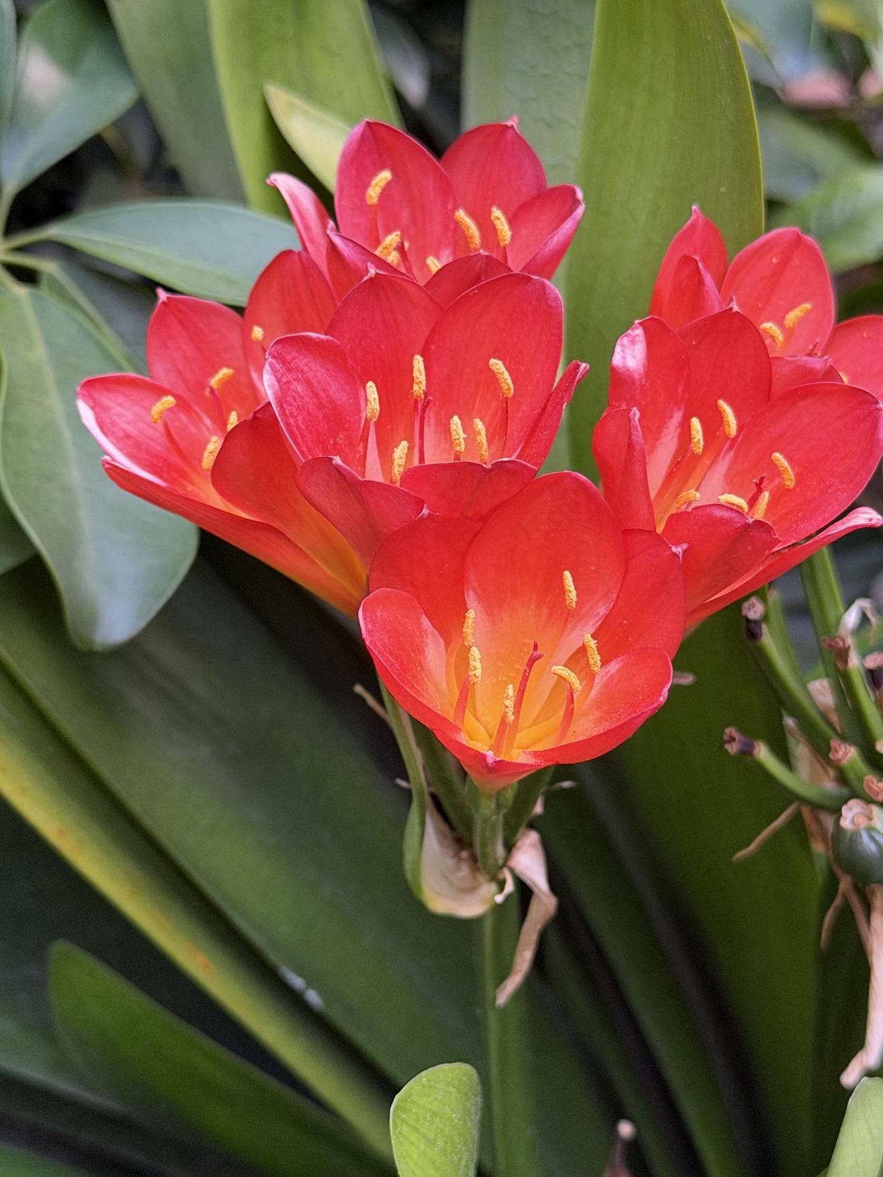 多次来大理，每次感触皆不同！
        大理之美，美在环境保护。于此，人与