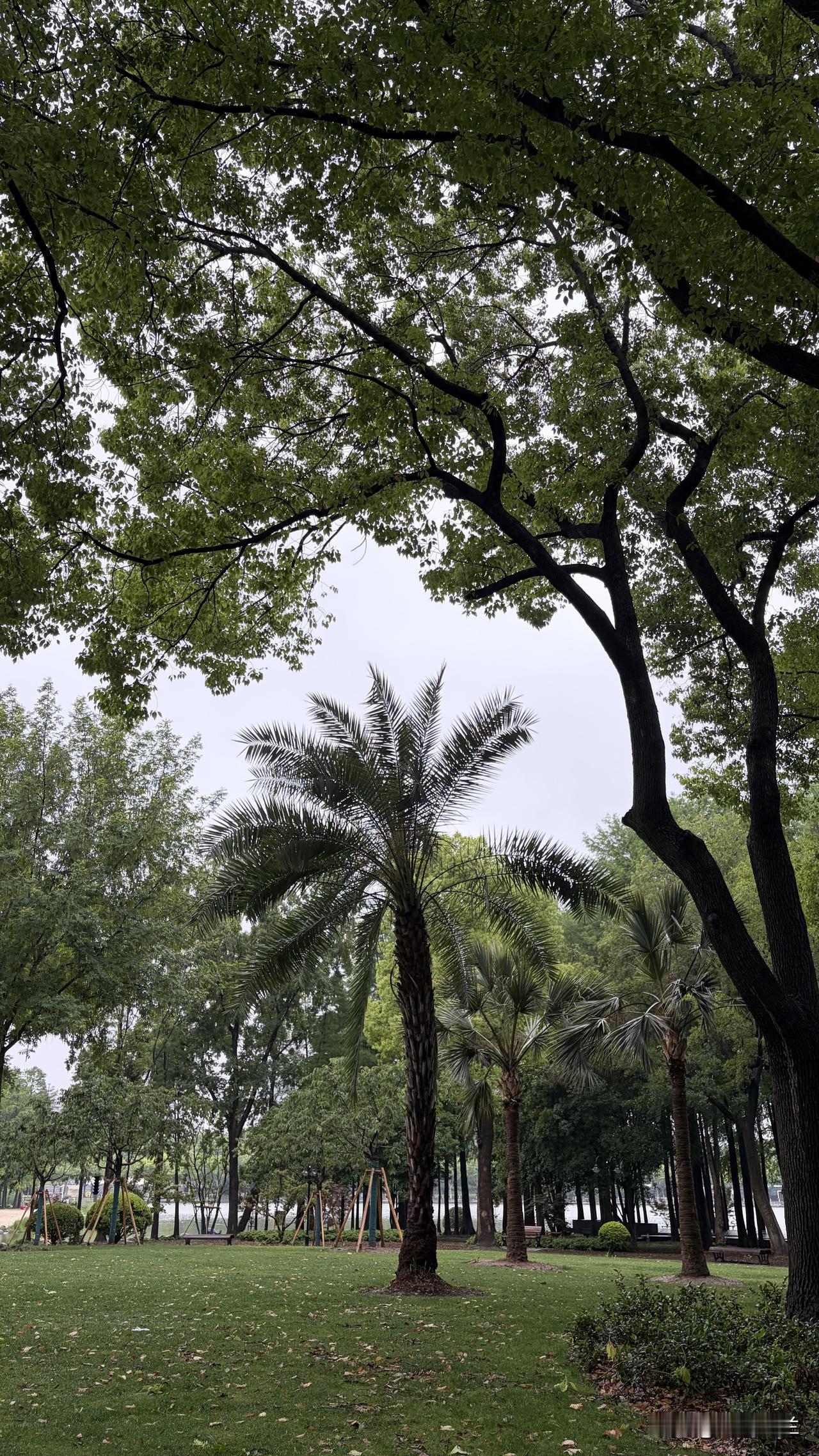 我认为好好休息

退休后，我不会再去工作。

辛苦工作了几十年，终于熬到了退休，