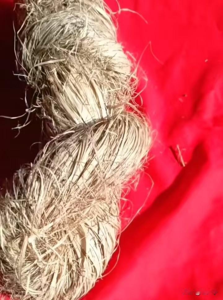 东北方言之（680）麻精：
就是指线麻，是从麻杆上扒下来的有经过加工的最原始的麻