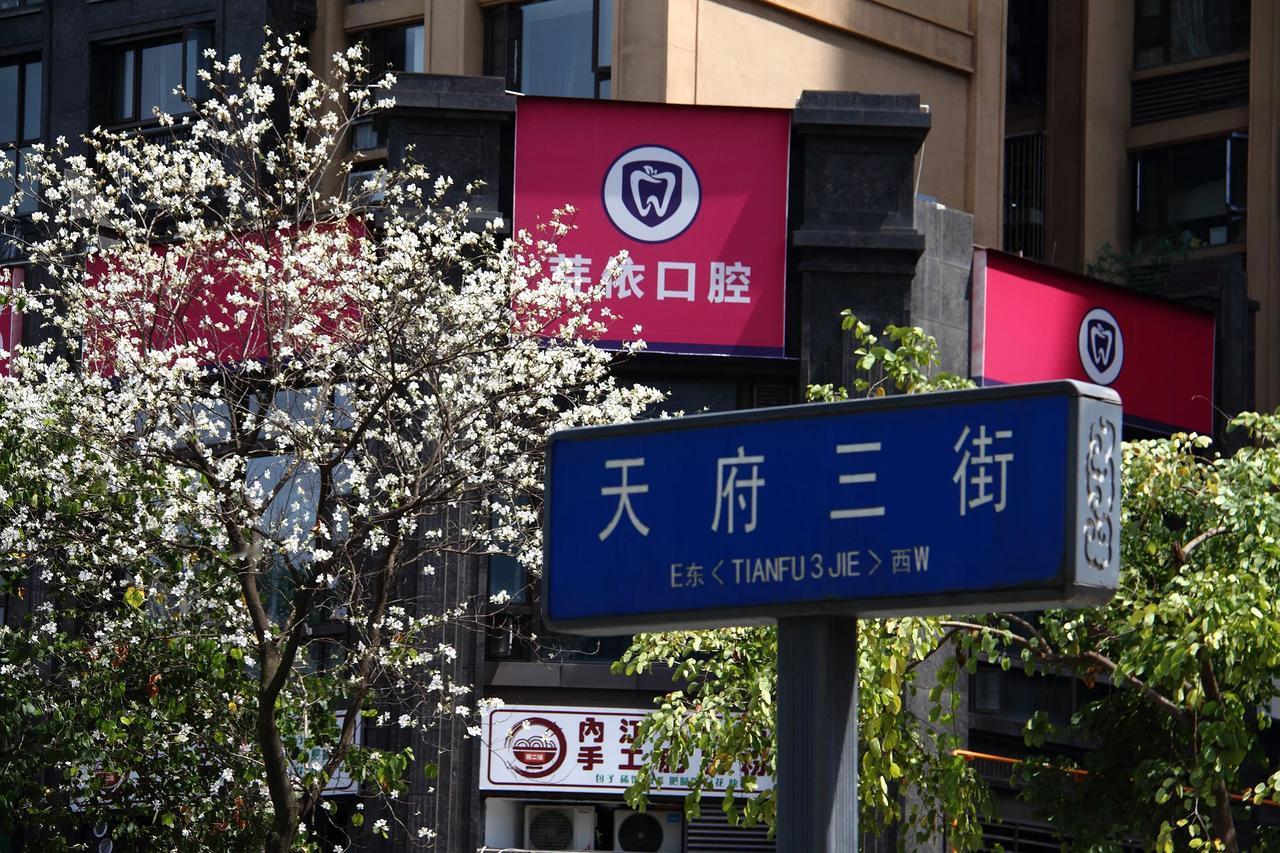 【天府三街 寻拍白花紫荆】20250502

    昨日五一，想着假期到处人多