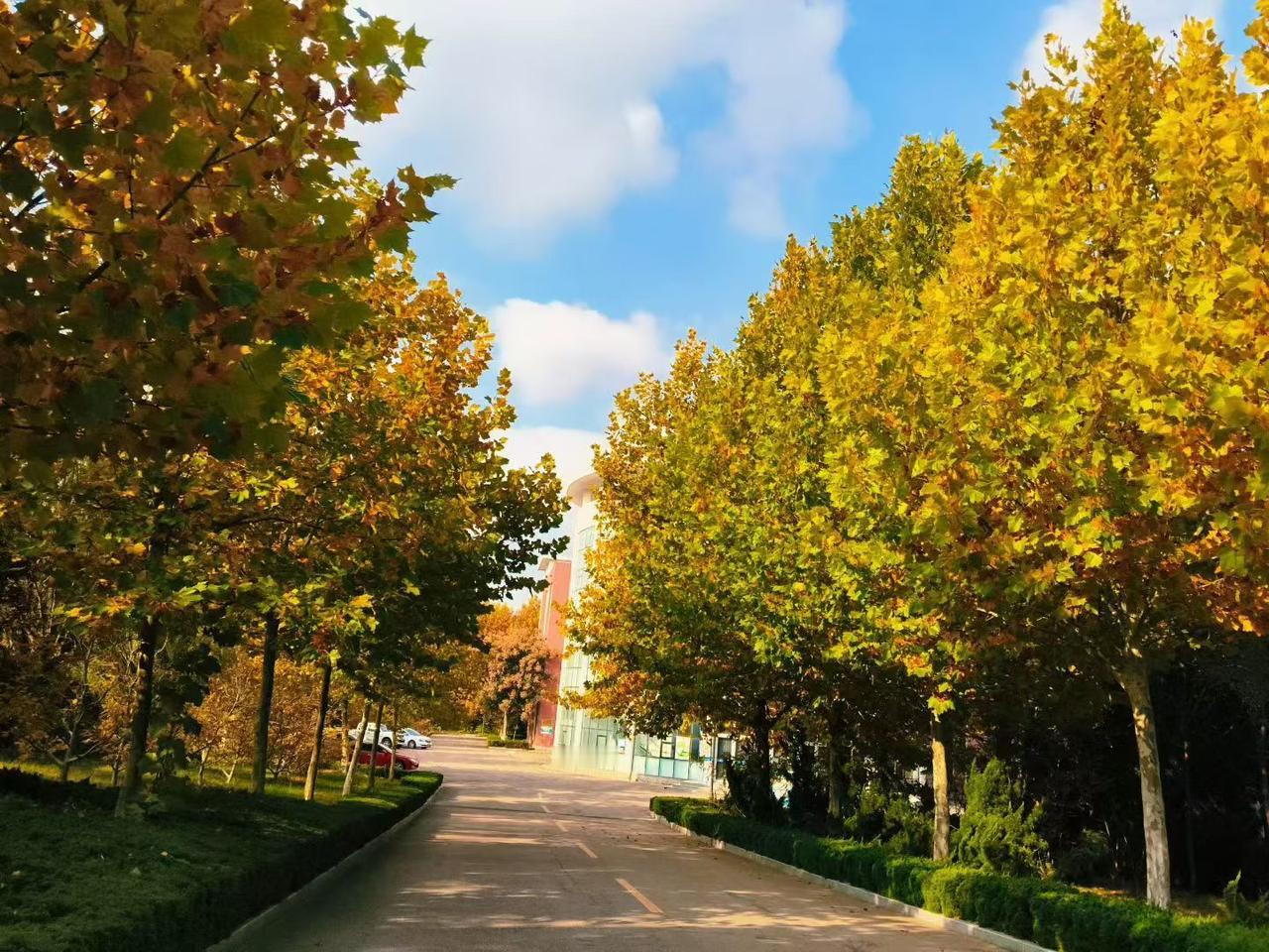 太炸裂了，暴涨！

    据有关消息称，10月份，比亚迪方程豹销量突飞猛进，销