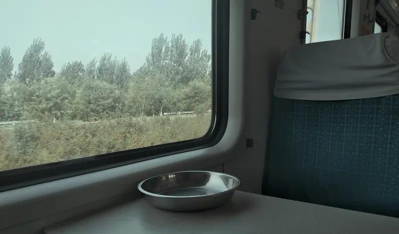 致正年轻的你人生是一场漫长的旅途，不必急于抵达终点，认真感受沿途风景，做独一无二