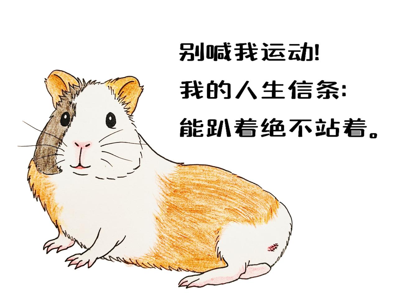今天不画画了，罚自己给孩子20块钱

周一到周五，
我画了三张画。

今天太累了