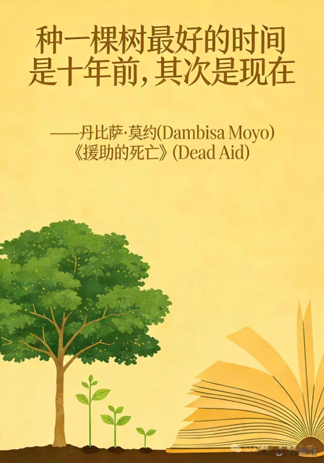 “种一棵树最好的时间是十年前，其次是现在”是一句广为流传的励志名言，出自非洲经济