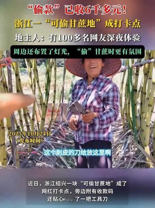80后年轻人想出怪招？考验人性的时刻到啦？和人交往，你看重的是人品还是金钱 这到