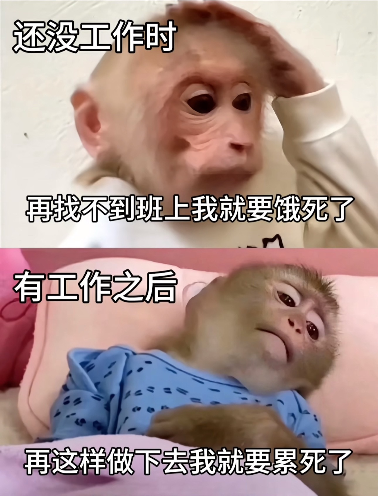 我本人 