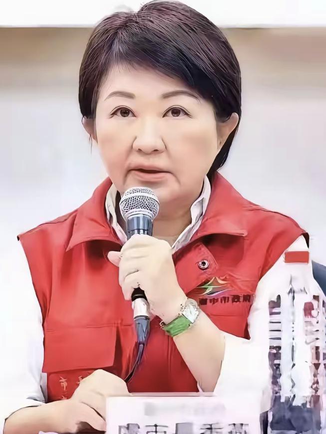 卢秀燕屡遭挫折，最近被猪弄得头疼！
 
最近卢秀燕没有参加郑丽文入职典礼的风波，