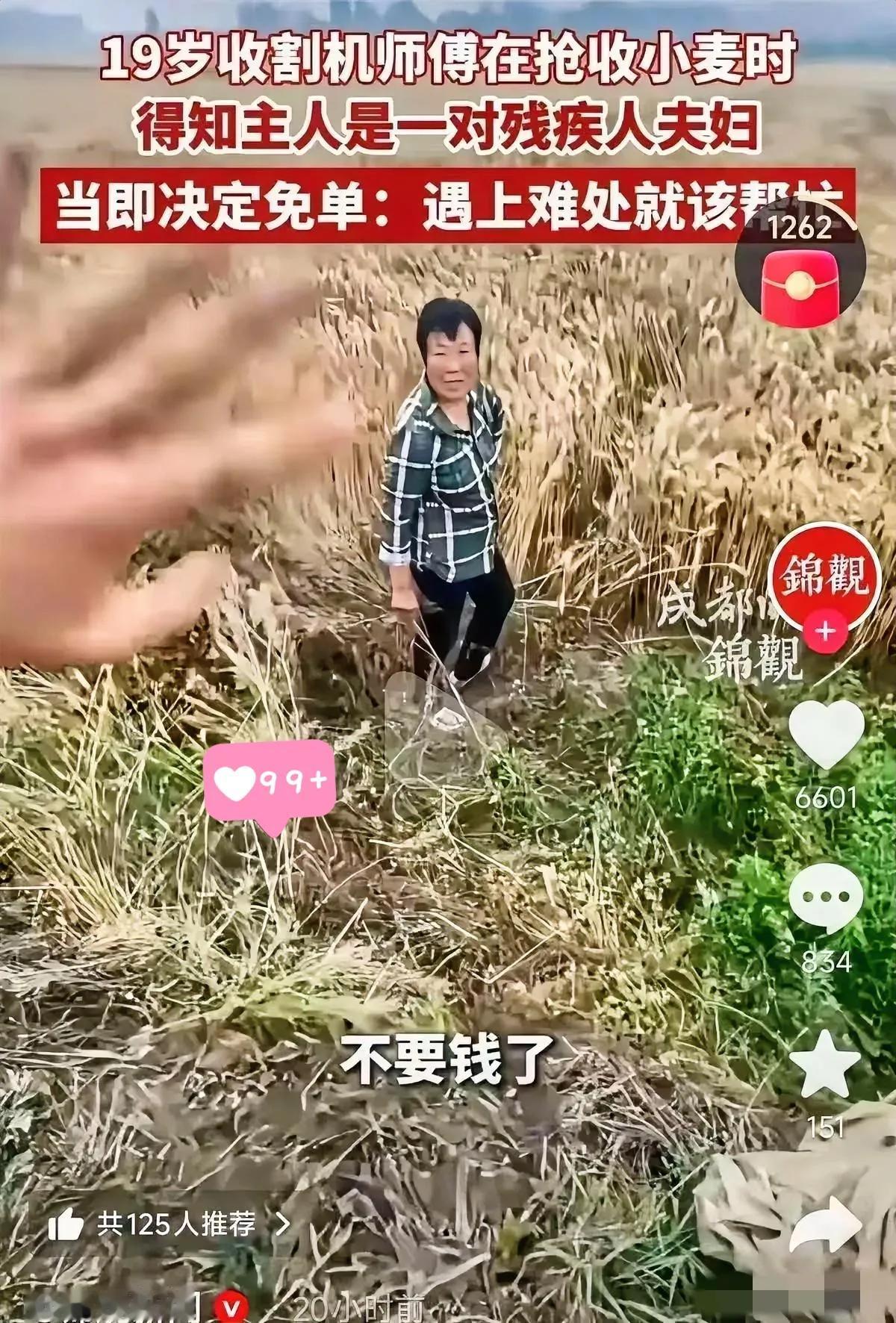 河南南阳，一位来自山东的18岁农机手在作业时，发现麦地女主人全程一言不发，同村大