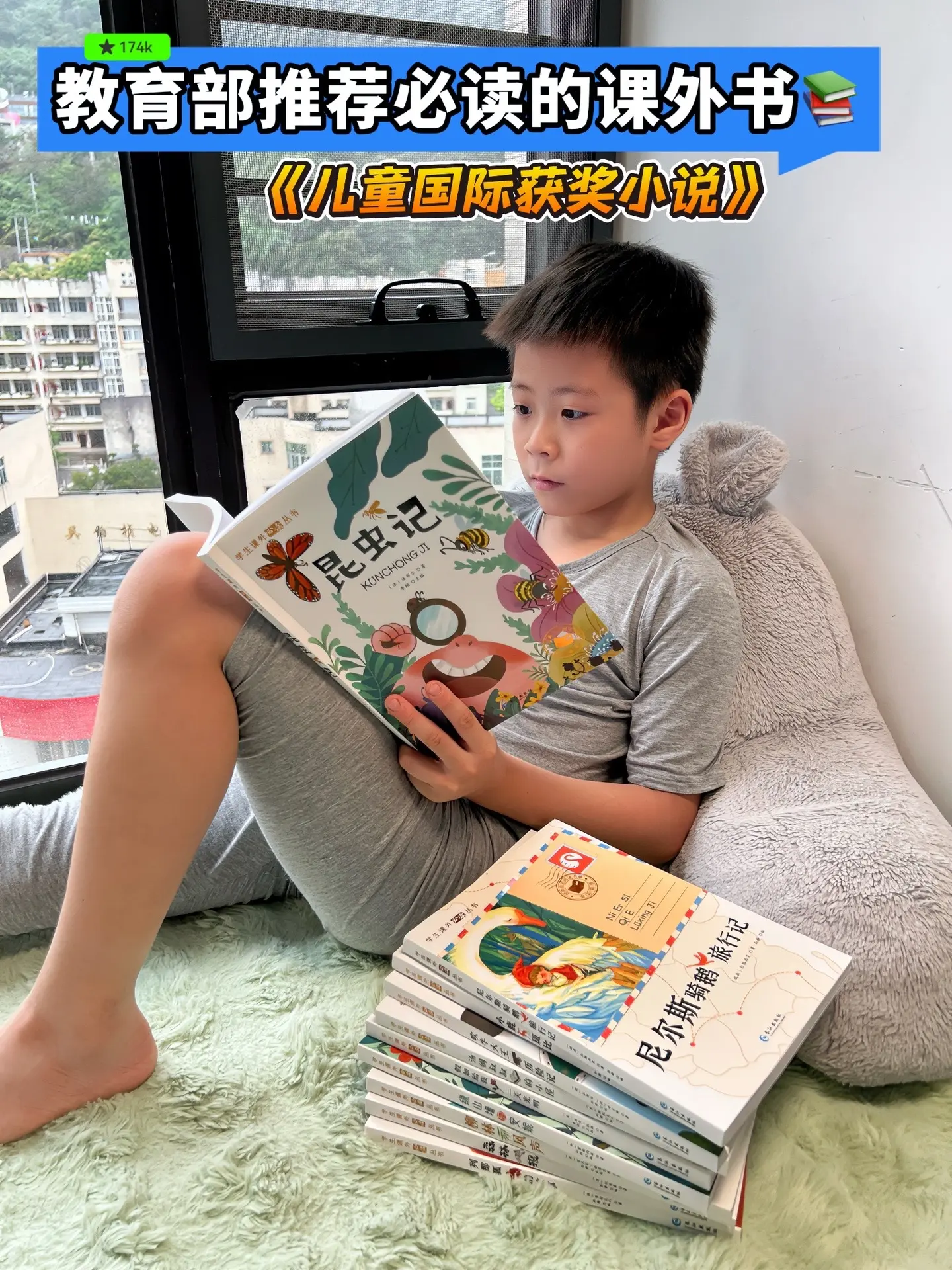 这套全10本《国际获奖儿童小说》太值了，没有一本凑数的！紧跟新课标，是...